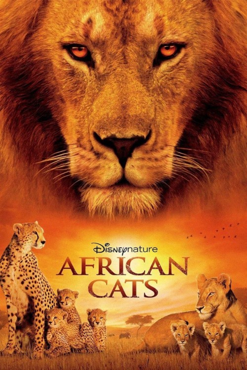 African Cats - African Cats